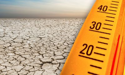 Rise in Global Temperatures